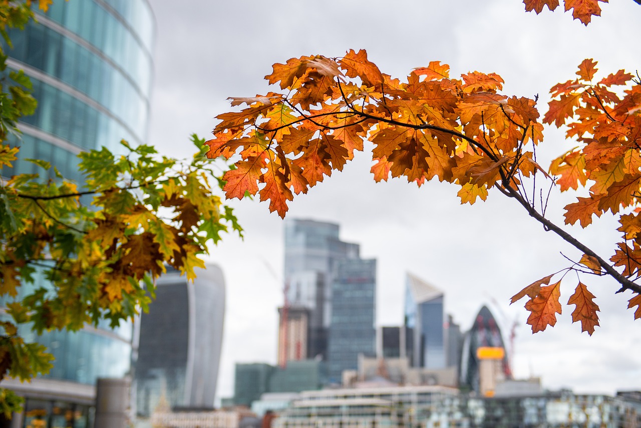 London in autumn